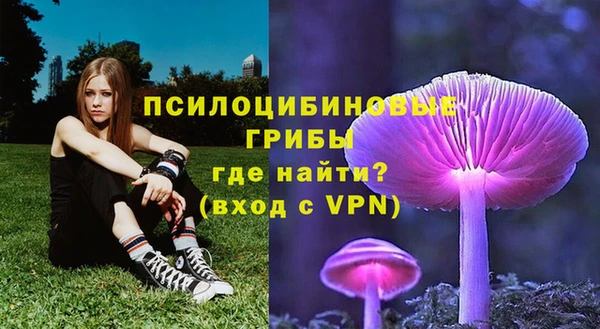 ГАЛЛЮЦИНОГЕННЫЕ ГРИБЫ Армянск