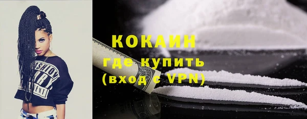 индика Аркадак