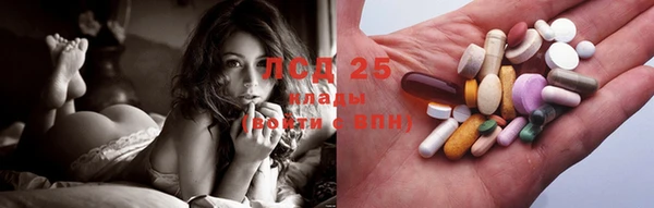 индика Аркадак