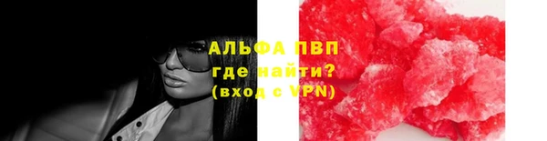 индика Аркадак