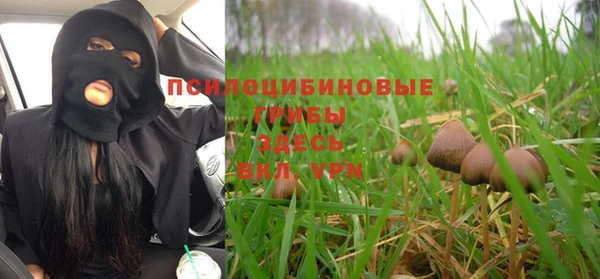 дурь Арсеньев