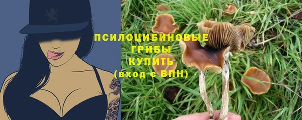 ГАЛЛЮЦИНОГЕННЫЕ ГРИБЫ Армянск