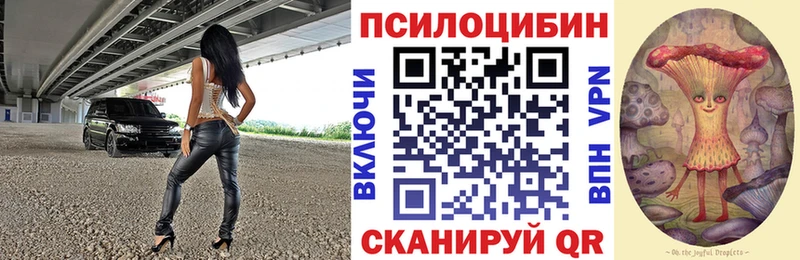 мориарти официальный сайт кракен ССЫЛКА Таштагол Галлюциногенные грибы Cubensis